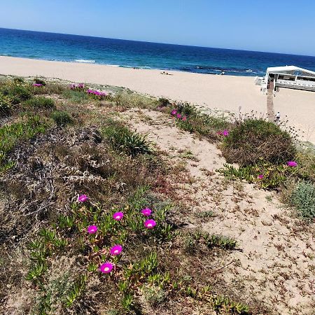 Casa Ventaglio Verde فاليدوريا المظهر الخارجي الصورة