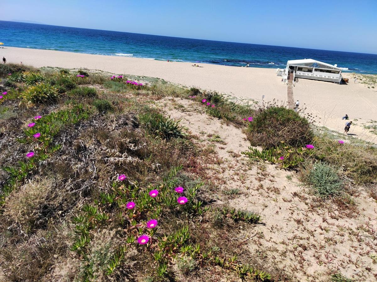 Casa Ventaglio Verde فاليدوريا المظهر الخارجي الصورة
